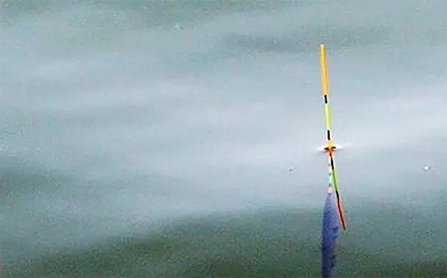 冬季鱼口轻?5个老钓手的实战经验教你保证渔获