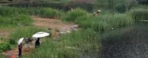 秋钓草边“三钓”、“三不钓”,用好了总有一次要爆护