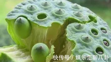 圣女果|夏季天气热,建议中老年人,每天多吃这5种果蔬,精神十足身体棒