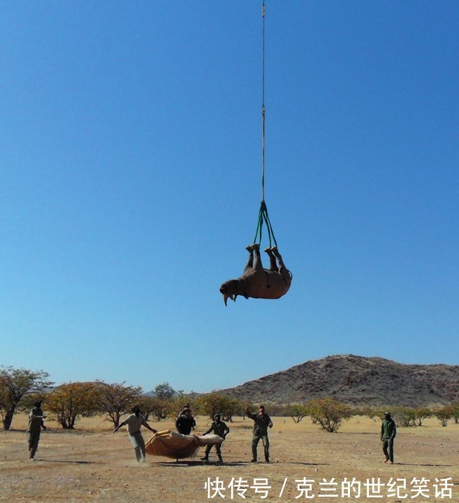 |2021年搞笑诺贝尔奖:留大胡子的男人不容易挨打?论胡子对世界和平的贡献……
