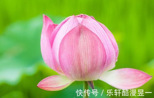 吉星|9月底，时来运转，4属相吉星关照，财源滚滚，生活蒸蒸日上