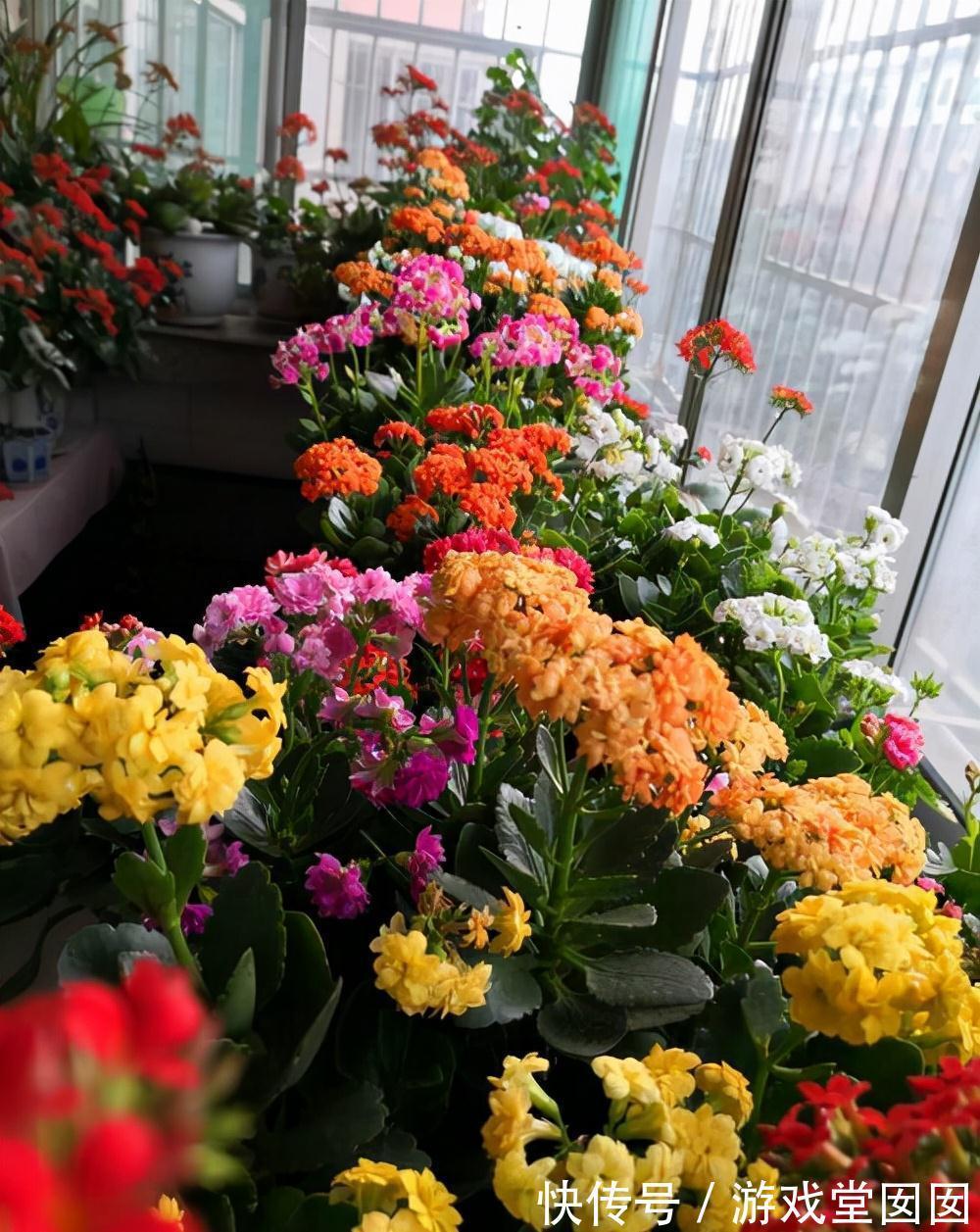 养花不会浇水吗?六大口诀记心间,养啥都能长得旺