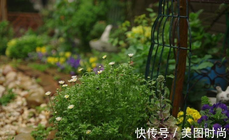 小院|荒废多年的80㎡小院,2年半时间打造成下沉式花园,太漂亮了!