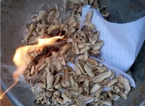 4种“壳”每家都有,丢盆里疏松透气,2年不用换盆,长得旺!