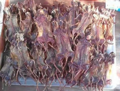 特产都|全国各地4种“奇葩”特产,只有本地人吃得下去,网友头皮发麻