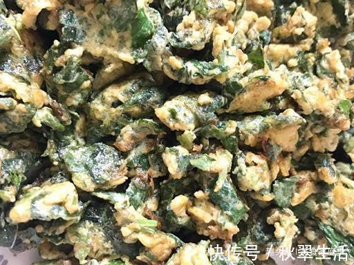 花盆|我家每年必吃，是菜也是药，用来炒鸡蛋比香椿还香，有花盆就能种