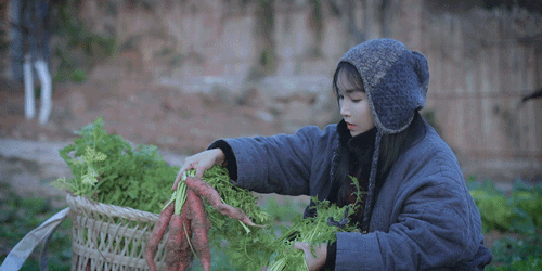 一物一生，吃完萝卜，一生系列就停在这里了吧