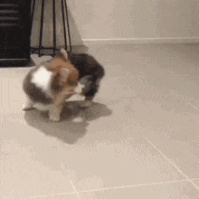 |搞笑GIF:你永远猜不到 美女的那些照片是怎么拍出来的