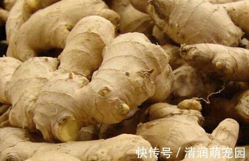 妙招|生姜放久了总是坏？教你3个小妙招，放半年不干瘪不腐烂