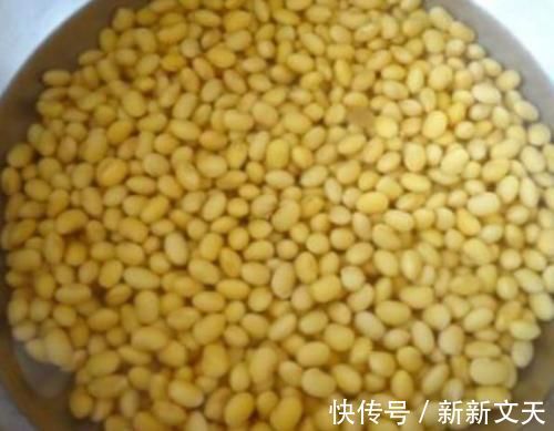 妇科病|4物是天然的“黄体酮”,女性常吃消炎抑菌,可助你远离妇科病