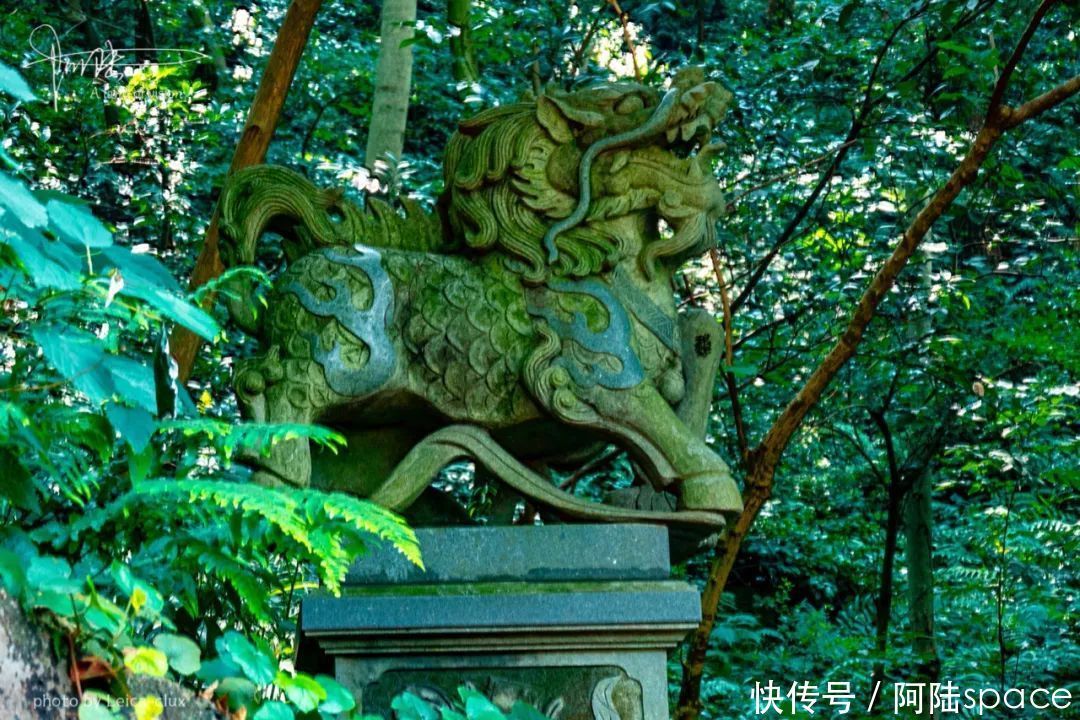 法华寺|北高峰一侧有座古寺，平时游客很少，其实它已有1700多年历史