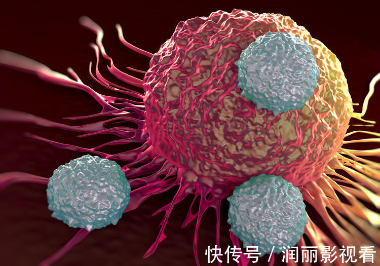 禁食|癌细胞喜欢吃糖,断食可以饿死癌细胞?最新研究结果告诉你答案