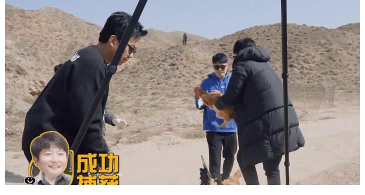 邓超录制节目被猪搞得晕头转向，直言：这样的节目以后不会再录了