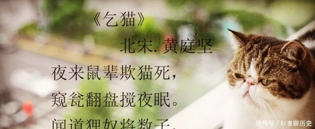 因家里受到老鼠的骚扰,此人特地写诗向好友要猫,句句可爱到爆