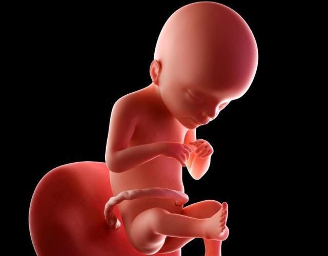 变化|怀孕1~40周，每周身体有何变化？送你一份“孕期清单表”！