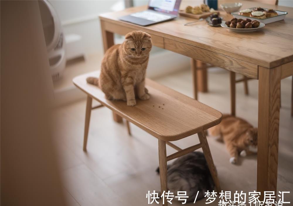 梳妆台|90后夫妻的1室1厅婚房:41㎡住下2个人3只猫,入住半年生活太惬意