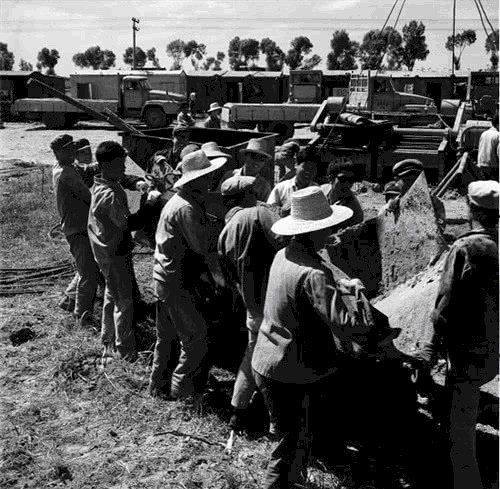 真相|苦寻14年，为何日军没能在东北发现油田？专家4字道破真相