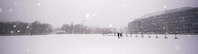 沙拍摄的雪|华沙降雪