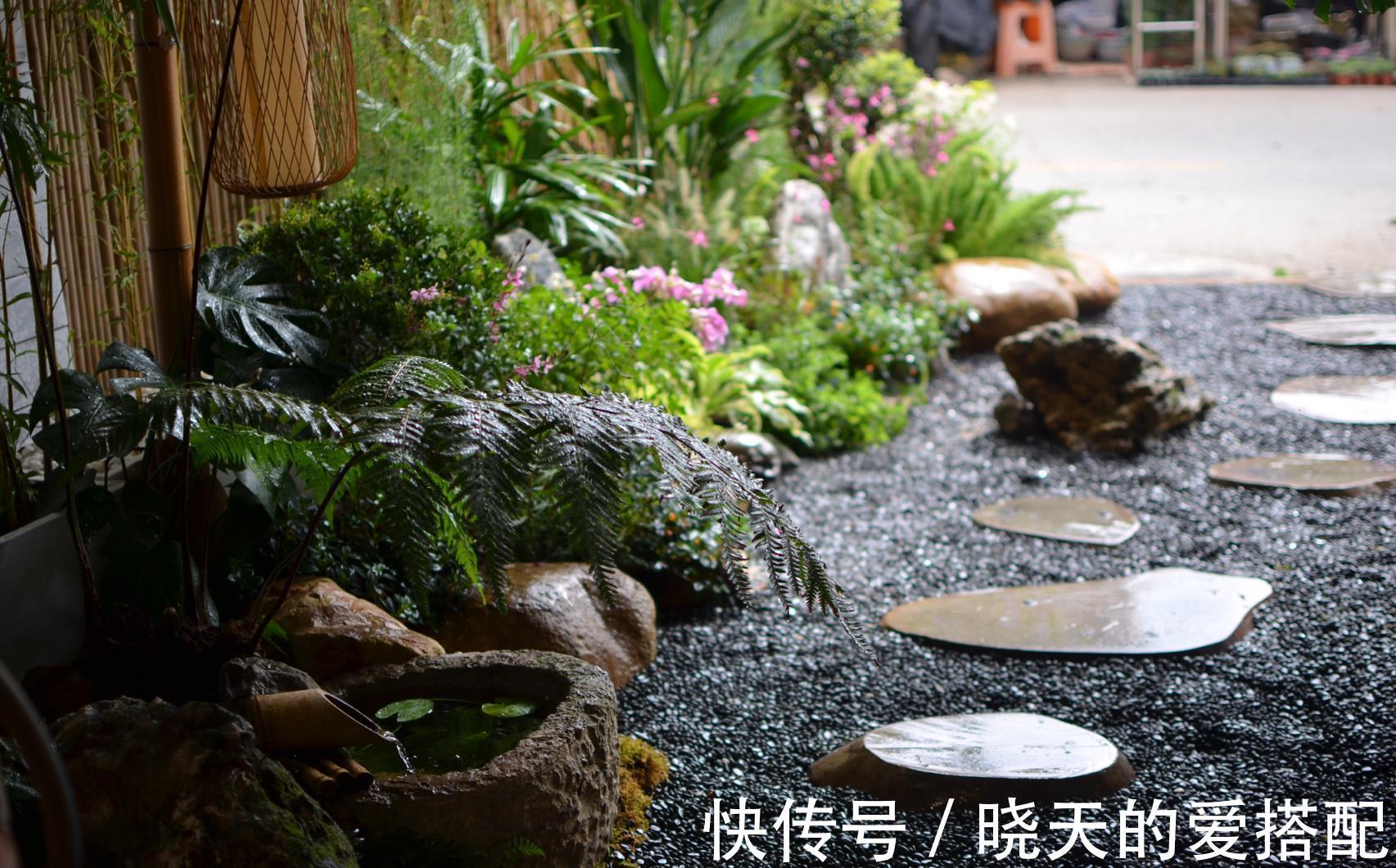 治愈系|小空间庭院花园,正确的绿植搭配技巧,让小院落变身治愈系小花园