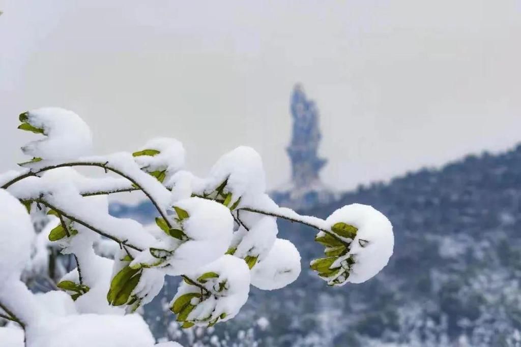  大雪|今日大雪！有你在，便是暖冬......