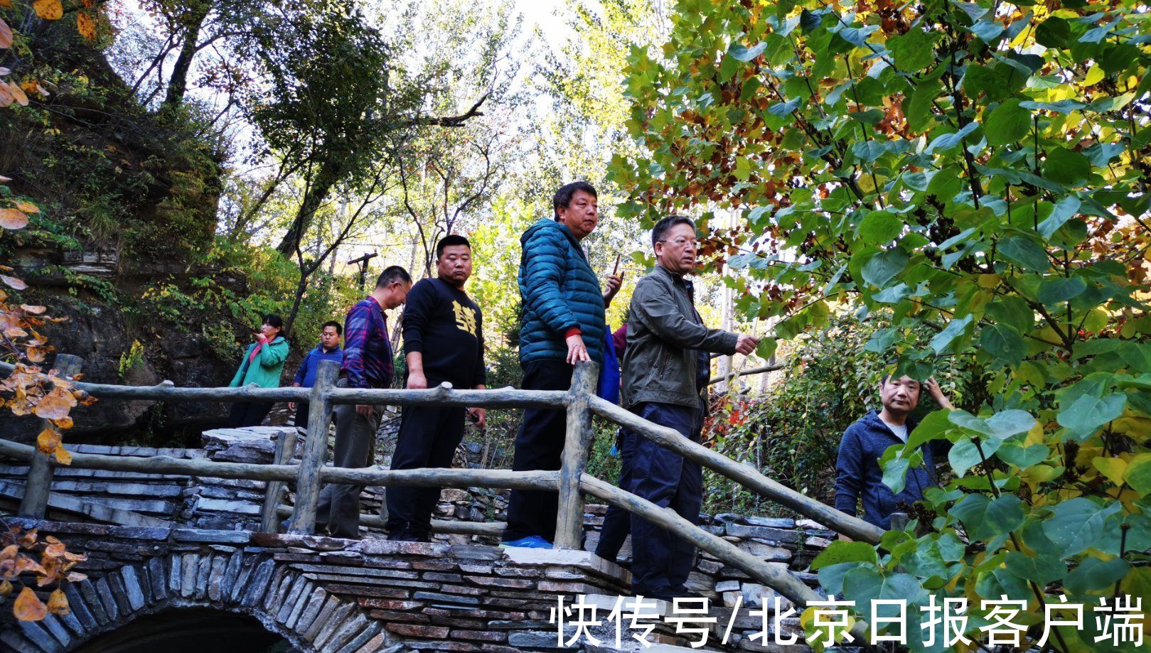 专家们|北京周口店有片华北最壮观黄栌观景区，红叶媲美香山