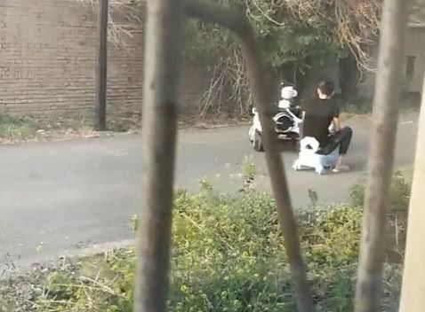 萌娃|“大顽童奶爸”被娃带着玩走红,宝宝:现在的大人可真难带