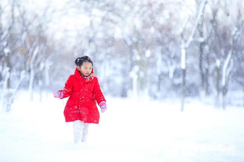 雪景|烟台终于下雪了！（附烟台绝美冰雪图）