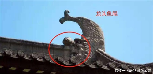 a8561|龙生九子,为何都不同?看看龙的妻子就知道了,蛤蟆、乌龟啥都有