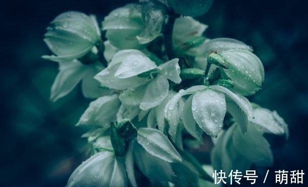 甜蜜|未来10天，快乐是你，难忘旧爱，没有愤怒，甜蜜相拥，相伴余生