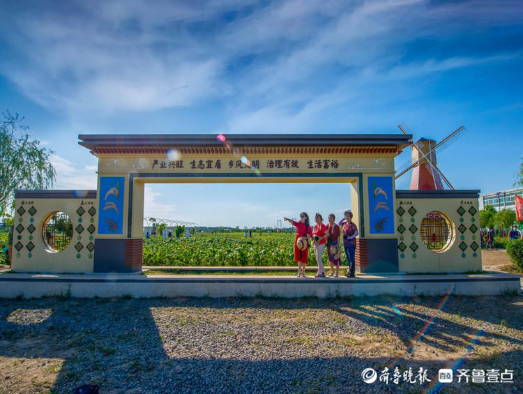 济南网红向日葵花海波澜壮阔如同画卷，如此美景别错过！|情报站| 向日葵