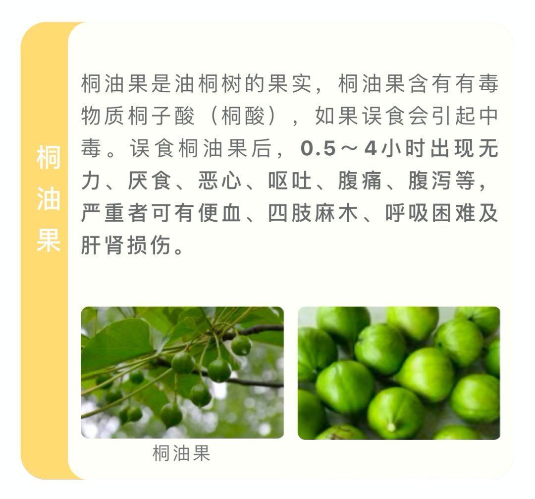 野菜|四川人注意！夏季这些常见的植物有毒