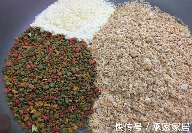 饵料|用“老三样”钓不到鲤鱼？只需要多加一种饵，效果完全不同