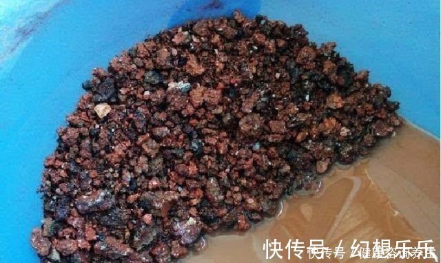 多肉上盆,2种东西垫盆底,不烂根不黑腐,安全零成本!