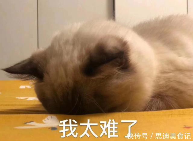 油烟机|我最有远见的16个装修决定,房子入住以后,清洁活只少不多