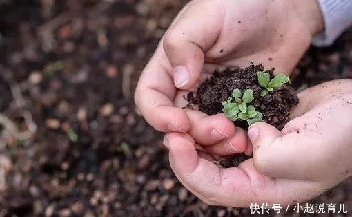 如何让孩子学会对敬畏生命？敬畏生命者，才能成“人”