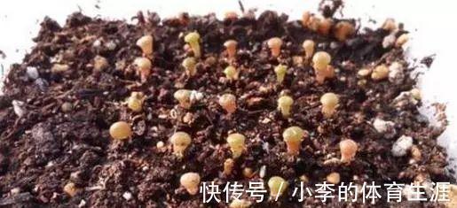 肉肉|要想成为一名合格的肉友,你还需要知道这些黑话