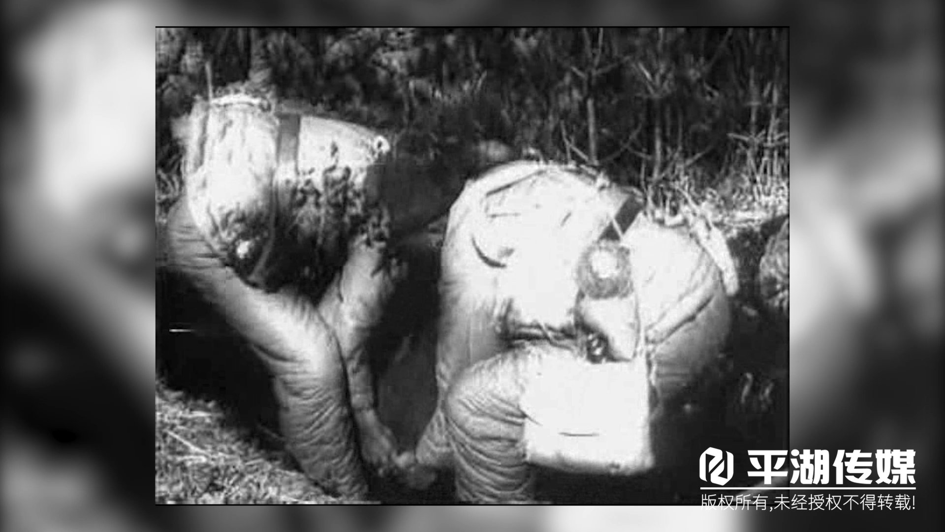 平湖|平湖93岁老兵坚守朝鲜战场四年，为一线战事做好保障！