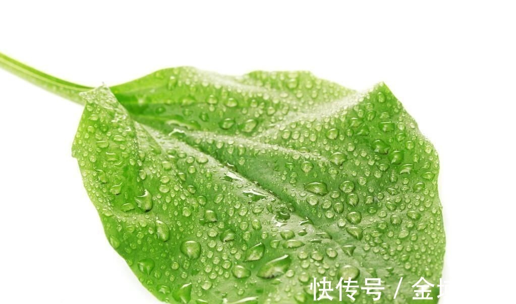 微雨&一首经典的咏雨诗,全诗无一个雨字,却句句写雨,淅沥沥下了千年