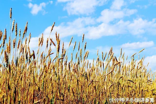 胆固醇|退休院士亲历:甘油三酯3.1,戒掉两种食物以后,血脂变化了