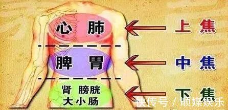 人体|搞懂了人体“三焦”,所有疑难杂症,都迎刃而解