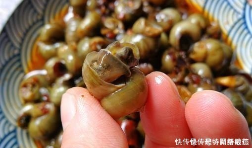 想让田螺沙吐净,只放盐是不行的,多加一勺“它”,田螺狂吐沙