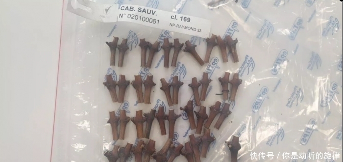 SpaceX货运龙飞船将携带已在ISS酿造一年的瓶装葡萄酒返回地球