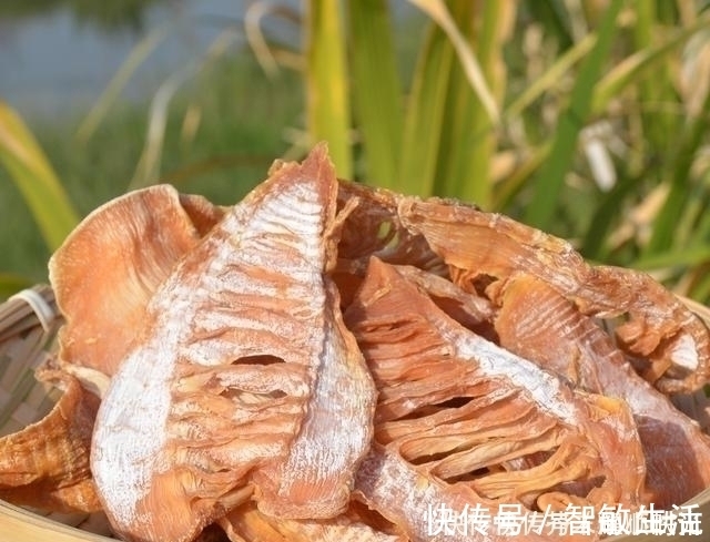 农村烂在地里没人要，没想到城里人却争着买，长得丑，特好吃