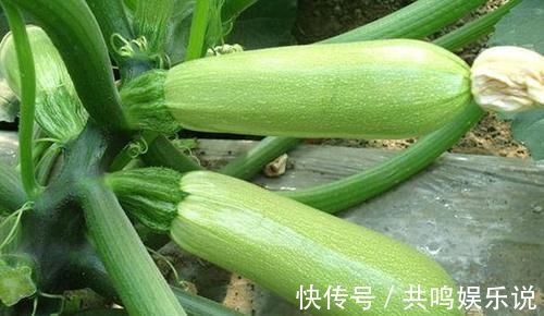 护肤|女性不想变黄脸婆，多吃四种食物，排毒护肤，美容抗衰， 好处多