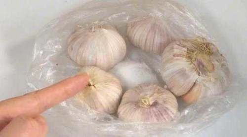 今天才知道,保存大蒜如此简单,放多久都行,再也不怕大蒜长芽了