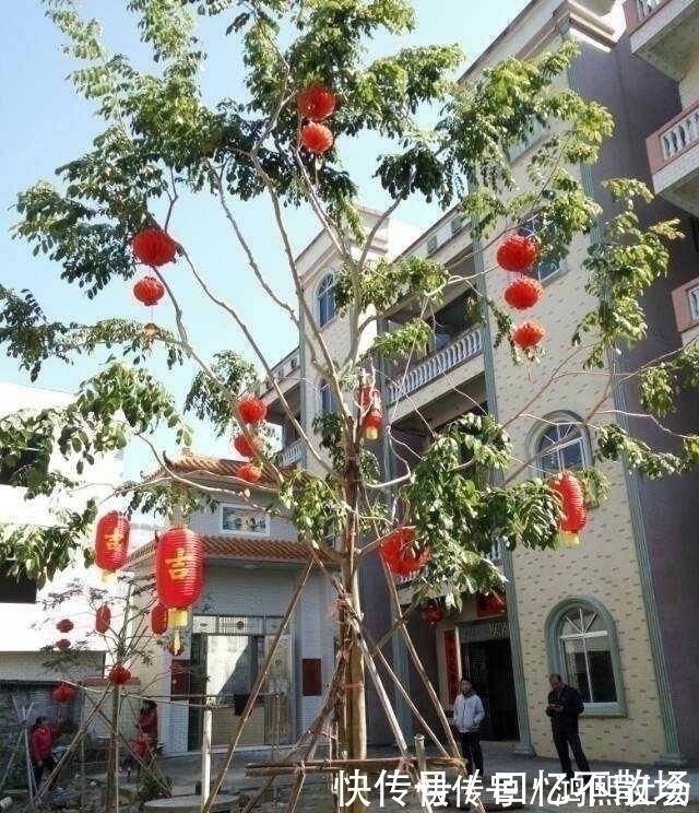 气派|小伙斥资50万在农村盖四层别墅,超大庭院,大门太气派了