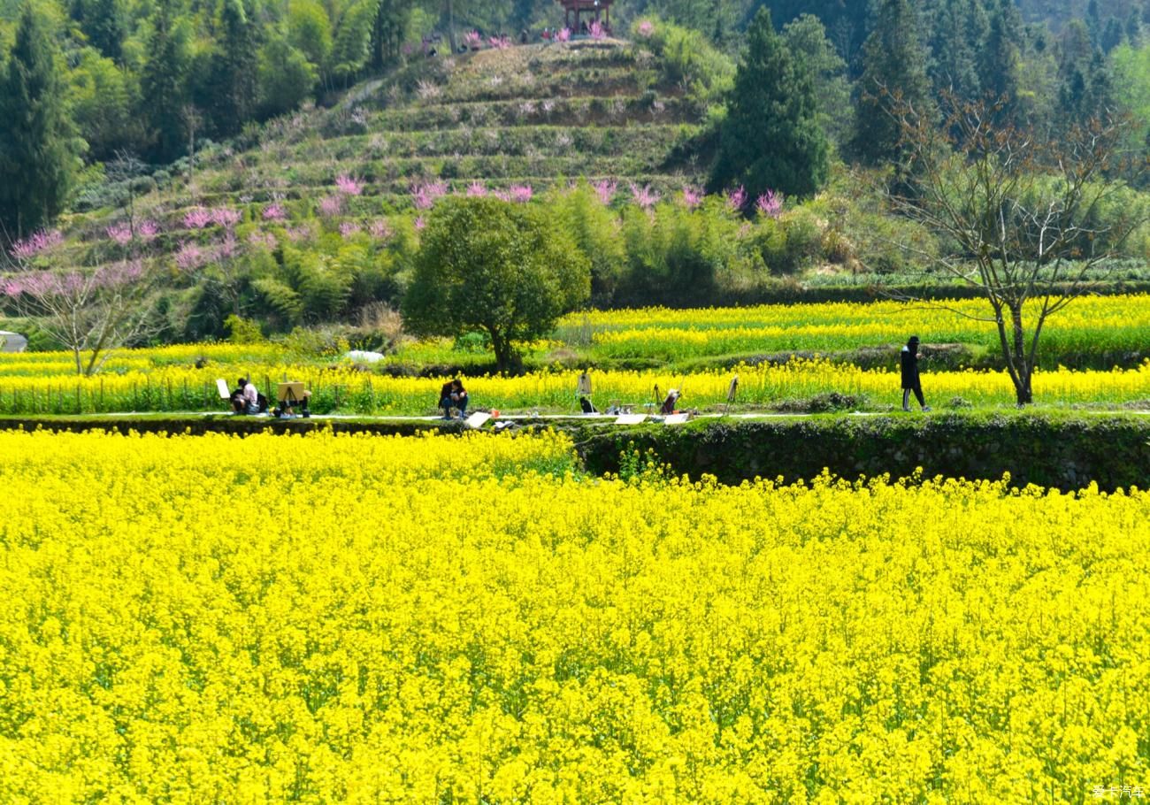 在安徽黟县旅行，西递、屏山、桃花源这三个地方，很值得看一看