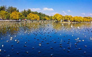 云南将迎来巨型高速，连接四川，带动旅游业快速发展，将是华丽蜕变！