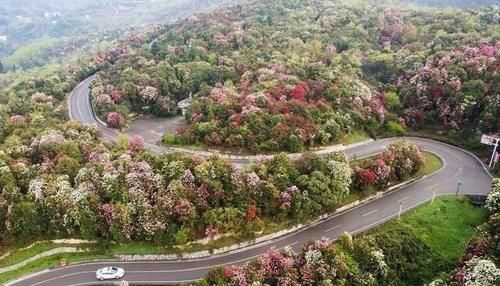 贵州一5A景区走红，被誉为“世界上最大的天然花园”，门票200元