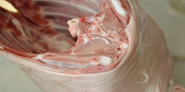 吃肉|总吃肉和几乎不吃肉的人相比，谁的身体会更健康？给您讲讲